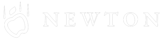 Newton Logo
